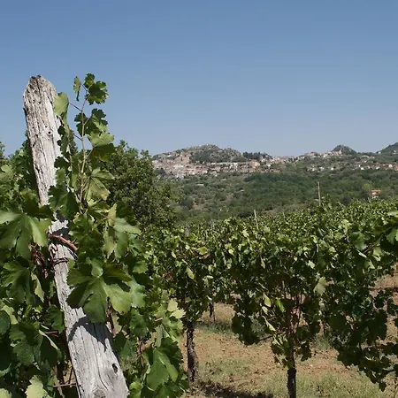La Timpa Del Cucco Roccagloriosa